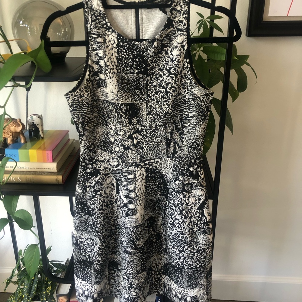 BCBG Maxazria Skater Dress